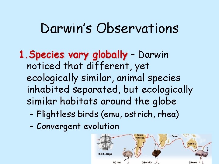 Darwin’s Observations 1. Species vary globally – Darwin noticed that different, yet ecologically similar,