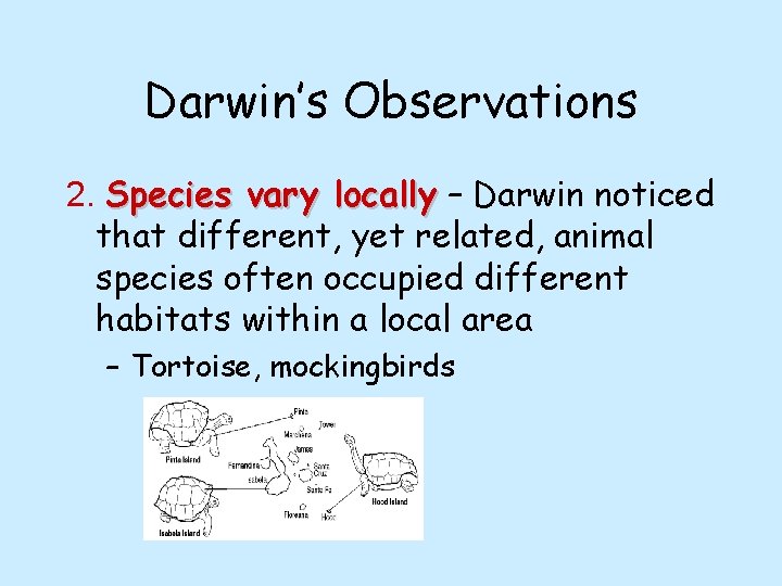 Darwin’s Observations 2. Species vary locally – Darwin noticed that different, yet related, animal