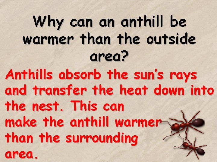 Why can an anthill be warmer than the outside area? Anthills absorb the sun’s Why can an anthill be warmer than the outside area? Anthills absorb the sun’s