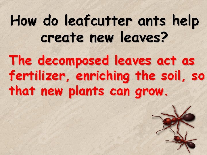 How do leafcutter ants help create new leaves? The decomposed leaves act as fertilizer, How do leafcutter ants help create new leaves? The decomposed leaves act as fertilizer,