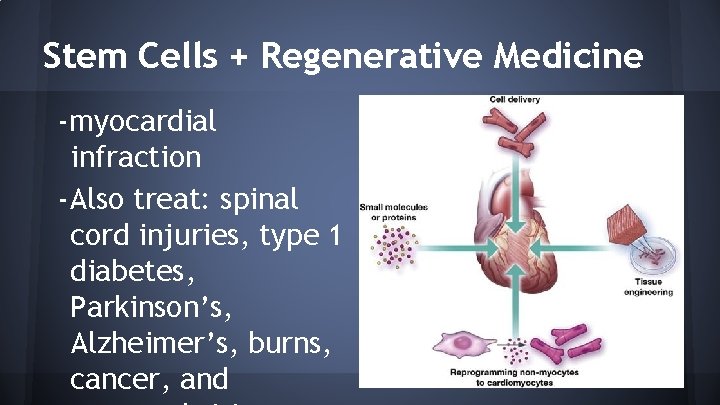 Stem Cells + Regenerative Medicine -myocardial infraction -Also treat: spinal cord injuries, type 1