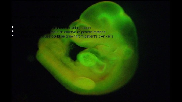 Embryonic Stem Cells From Acid • • • Haruko Obokata, Researcher in Kobe, Japan