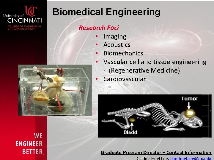 Biomedical Engineering Research Foci • Imaging • Acoustics • Biomechanics • Vascular cell and