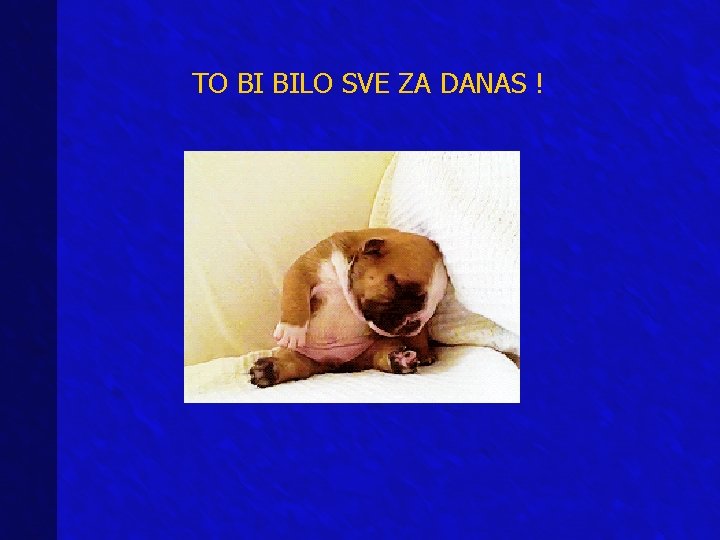 TO BI BILO SVE ZA DANAS ! TO BI BILO SVE ZA DANAS !