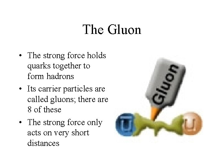 The Gluon • The strong force holds quarks together to form hadrons • Its