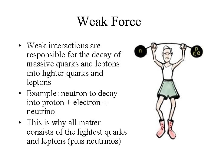 Weak Force • Weak interactions are responsible for the decay of massive quarks and