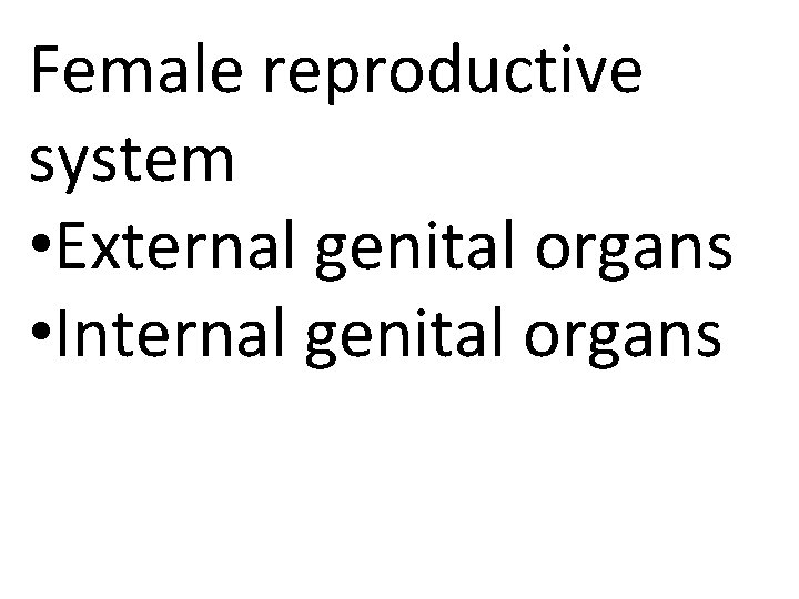 Female reproductive system • External genital organs • Internal genital organs 
