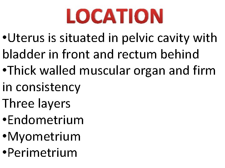 LOCATION • Uterus is situated in pelvic cavity with bladder in front and rectum LOCATION • Uterus is situated in pelvic cavity with bladder in front and rectum