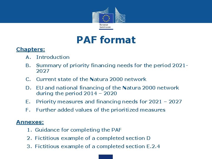 PAF format Chapters: A. Introduction B. Summary of priority financing needs for the period