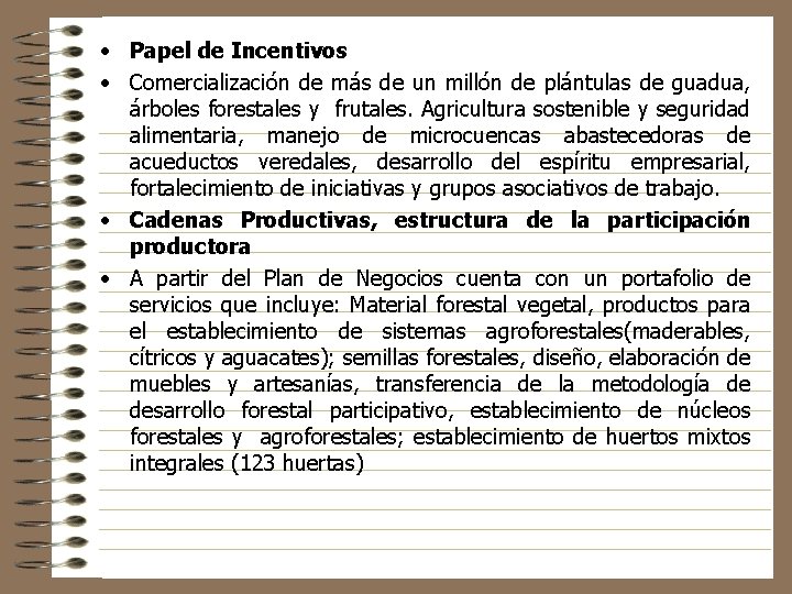  • Papel de Incentivos • Comercialización de más de un millón de plántulas