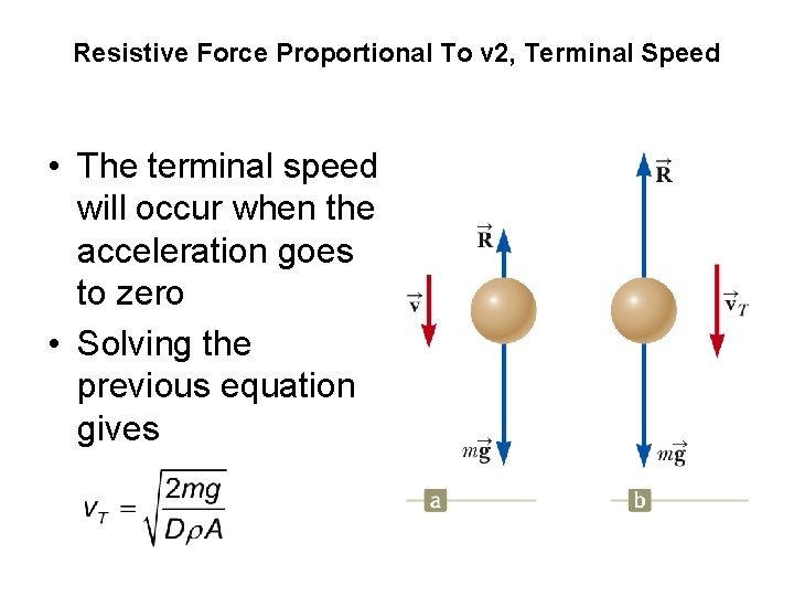 Resistive Force Proportional To v 2, Terminal Speed • The terminal speed will occur