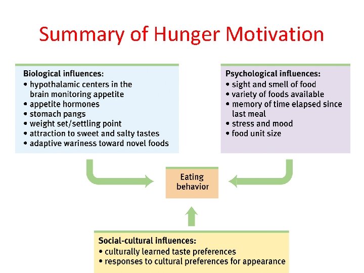 Summary of Hunger Motivation 