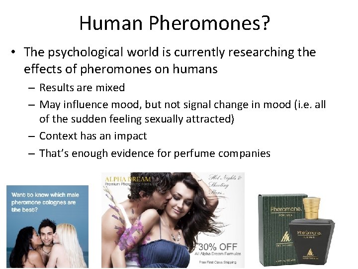 Human Pheromones? • The psychological world is currently researching the effects of pheromones on