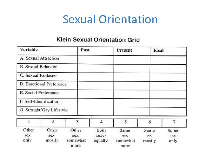 Sexual Orientation 