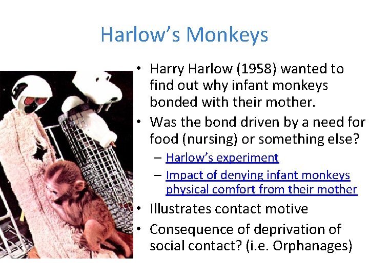Harlow’s Monkeys • Harry Harlow (1958) wanted to find out why infant monkeys bonded