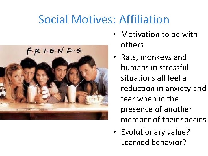 Social Motives: Affiliation • Motivation to be with others • Rats, monkeys and humans