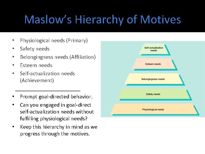 Maslow’s Hierarchy of Motives Physiological needs (Primary) Safety needs Belongingness needs (Affiliation) Esteem needs