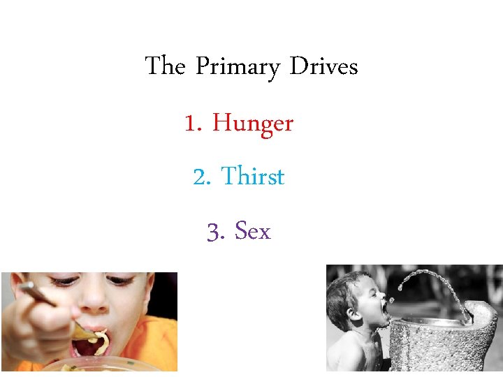 The Primary Drives 1. Hunger 2. Thirst 3. Sex 