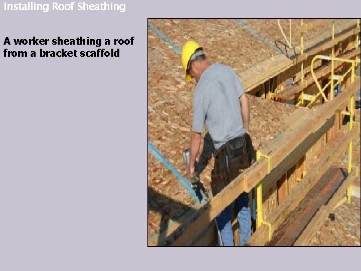 Installing Roof Sheathing A worker sheathing a roof from a bracket scaffold 