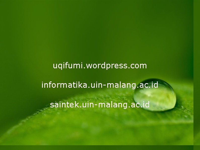 uqifumi. wordpress. com informatika. uin-malang. ac. id saintek. uin-malang. ac. id 