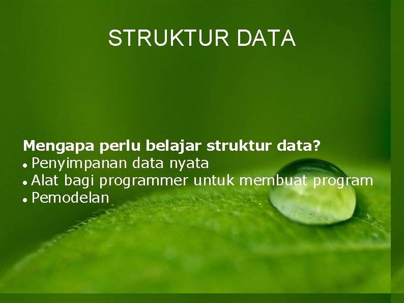 STRUKTUR DATA Mengapa perlu belajar struktur data? Penyimpanan data nyata Alat bagi programmer untuk