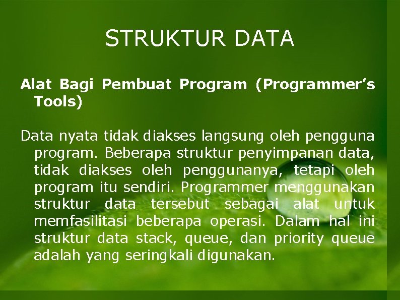 STRUKTUR DATA Alat Bagi Pembuat Program (Programmer’s Tools) Data nyata tidak diakses langsung oleh