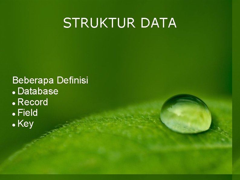 STRUKTUR DATA Beberapa Definisi Database Record Field Key 
