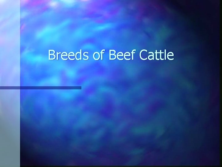 Breeds of Beef Cattle 