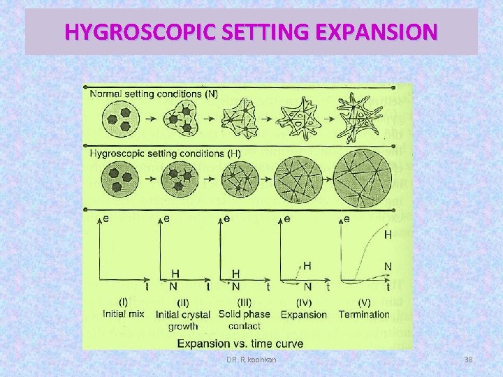 HYGROSCOPIC SETTING EXPANSION DR. R. koohkan 38 