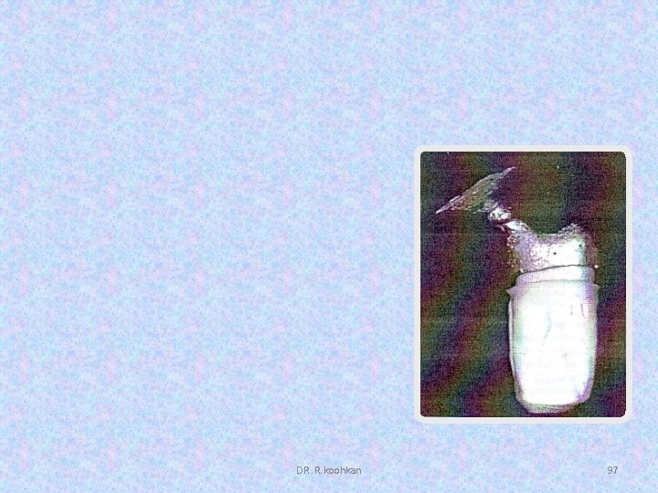 DR. R. koohkan 97 