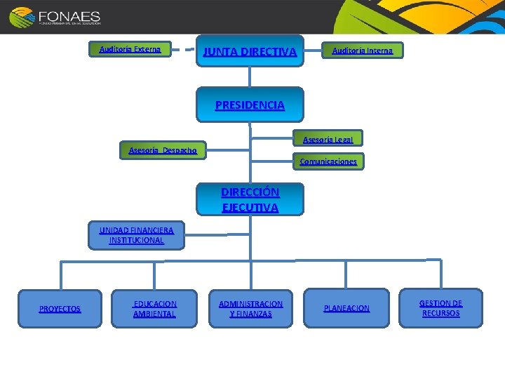Auditoría Externa JUNTA DIRECTIVA Auditoría Interna PRESIDENCIA Asesoría Legal Asesoría Despacho Comunicaciones DIRECCIÓN EJECUTIVA
