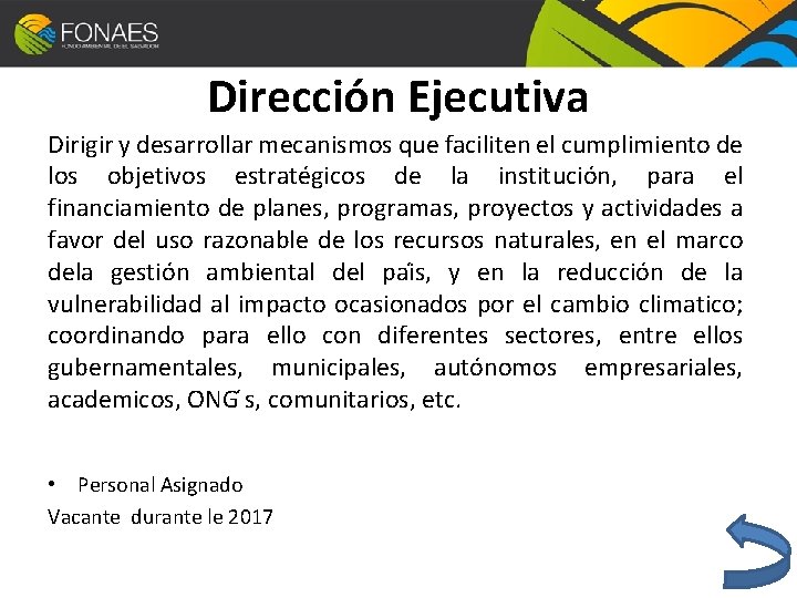 Dirección Ejecutiva Dirigir y desarrollar mecanismos que faciliten el cumplimiento de los objetivos estratégicos Dirección Ejecutiva Dirigir y desarrollar mecanismos que faciliten el cumplimiento de los objetivos estratégicos