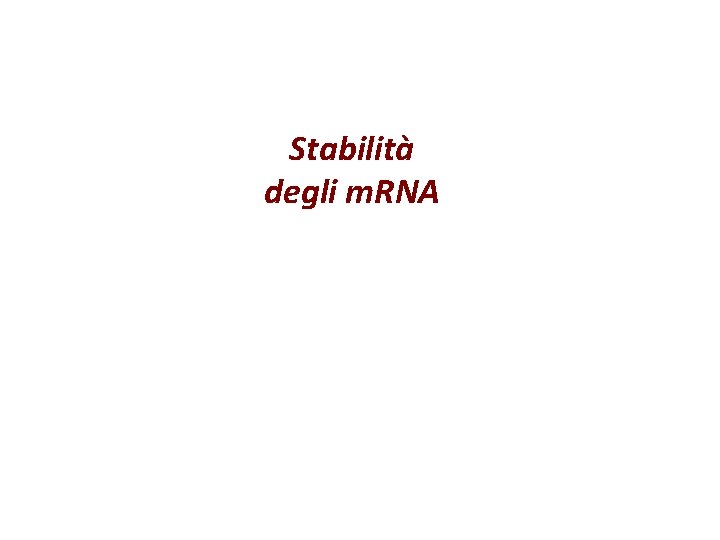 Stabilità degli m. RNA 