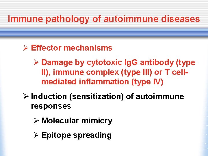 Immune pathology of autoimmune diseases Ø Effector mechanisms Ø Damage by cytotoxic Ig. G