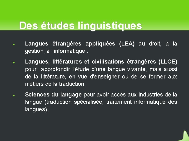 Des études linguistiques Langues étrangères appliquées (LEA) au droit, à la gestion, à l’informatique.