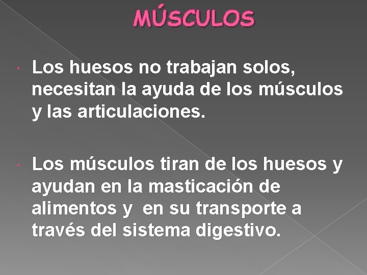 MÚSCULOS Los huesos no trabajan solos, necesitan la ayuda de los músculos y las