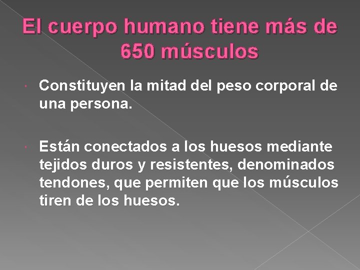 El cuerpo humano tiene más de 650 músculos Constituyen la mitad del peso corporal