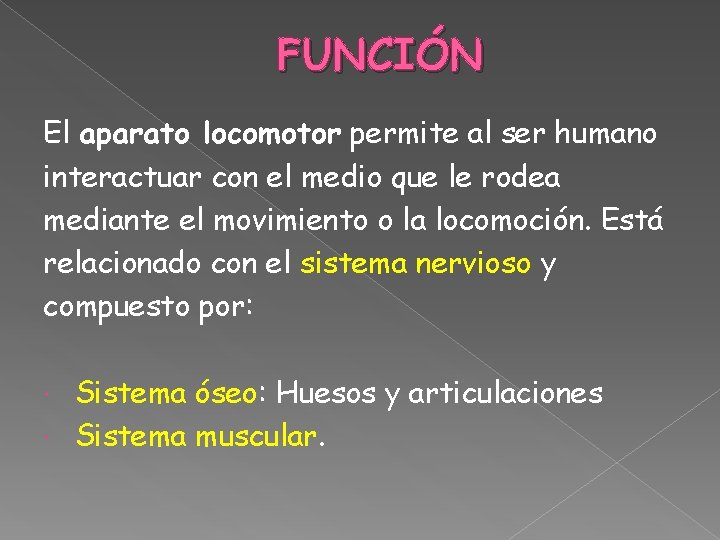 FUNCIÓN El aparato locomotor permite al ser humano interactuar con el medio que le