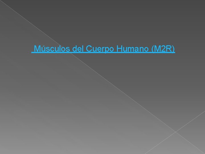 Músculos del Cuerpo Humano (M 2 R) 