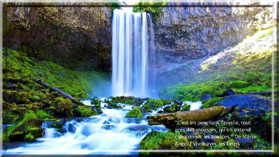 “C'est en penchant l'oreille, tout près des mousses, qu'on entend chantonner les sources. ”