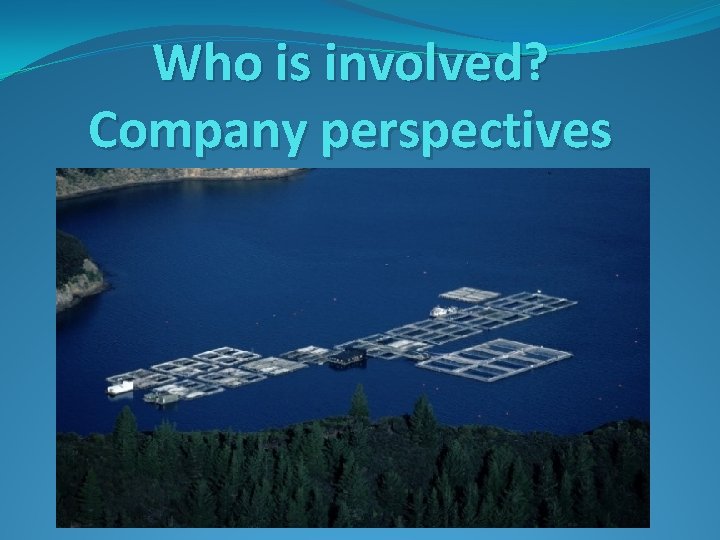 Who is involved? Company perspectives 