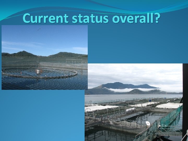 Current status overall? 