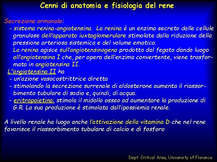 Cenni di anatomia e fisiologia del rene Secrezione ormonale: - sistema renina-angiotensina. La renina