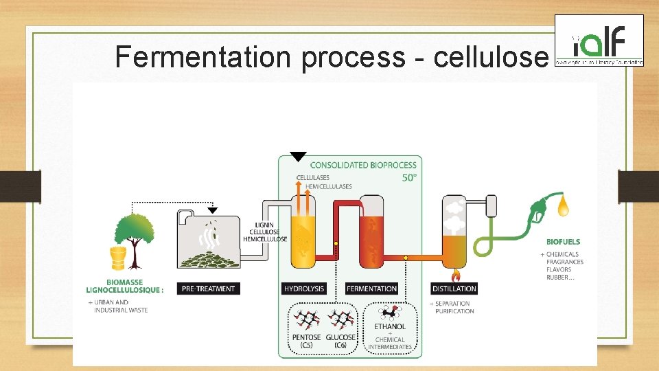 Fermentation process - cellulose 