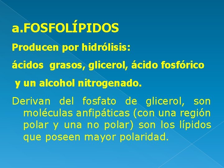 a. FOSFOLÍPIDOS Producen por hidrólisis: ácidos grasos, glicerol, ácido fosfórico y un alcohol nitrogenado.