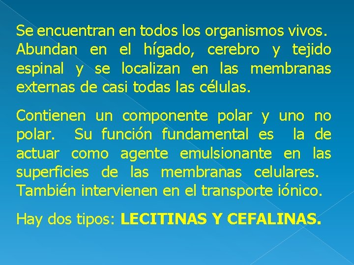 Se encuentran en todos los organismos vivos. Abundan en el hígado, cerebro y tejido