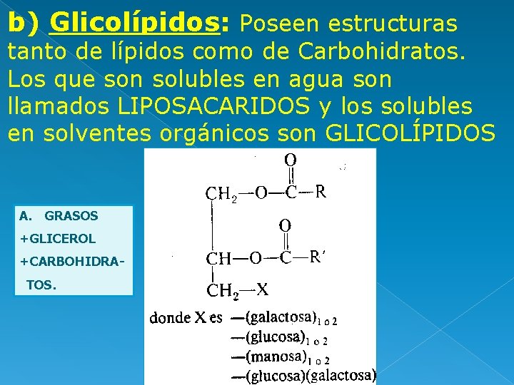 b) Glicolípidos: Poseen estructuras tanto de lípidos como de Carbohidratos. Los que son solubles