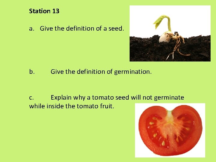 Station 13 a. Give the definition of a seed. b. Give the definition of Station 13 a. Give the definition of a seed. b. Give the definition of