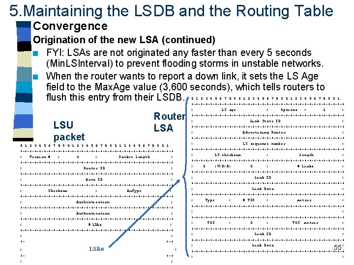 5. Maintaining the LSDB and the Routing Table Convergence Origination of the new LSA 5. Maintaining the LSDB and the Routing Table Convergence Origination of the new LSA