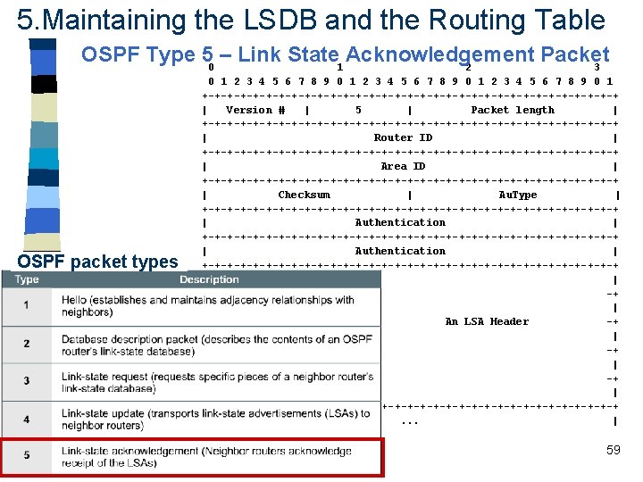 5. Maintaining the LSDB and the Routing Table OSPF Type 50 – Link State 5. Maintaining the LSDB and the Routing Table OSPF Type 50 – Link State